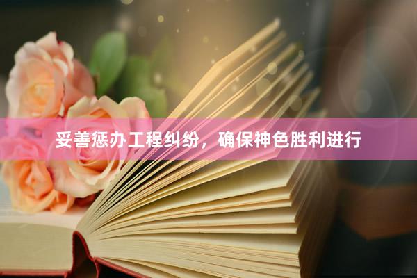 妥善惩办工程纠纷，确保神色胜利进行