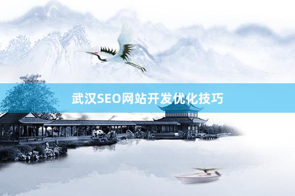 武汉SEO网站开发优化技巧