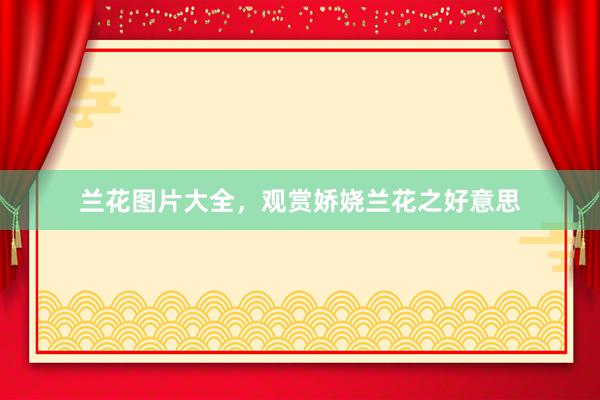兰花图片大全，观赏娇娆兰花之好意思