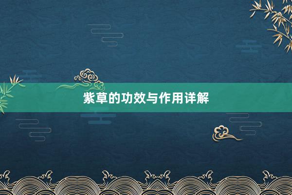紫草的功效与作用详解