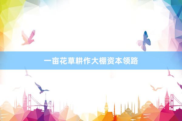 一亩花草耕作大棚资本领路